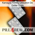 Kamagra 100Mg Utilisation De Gelée Orale 17